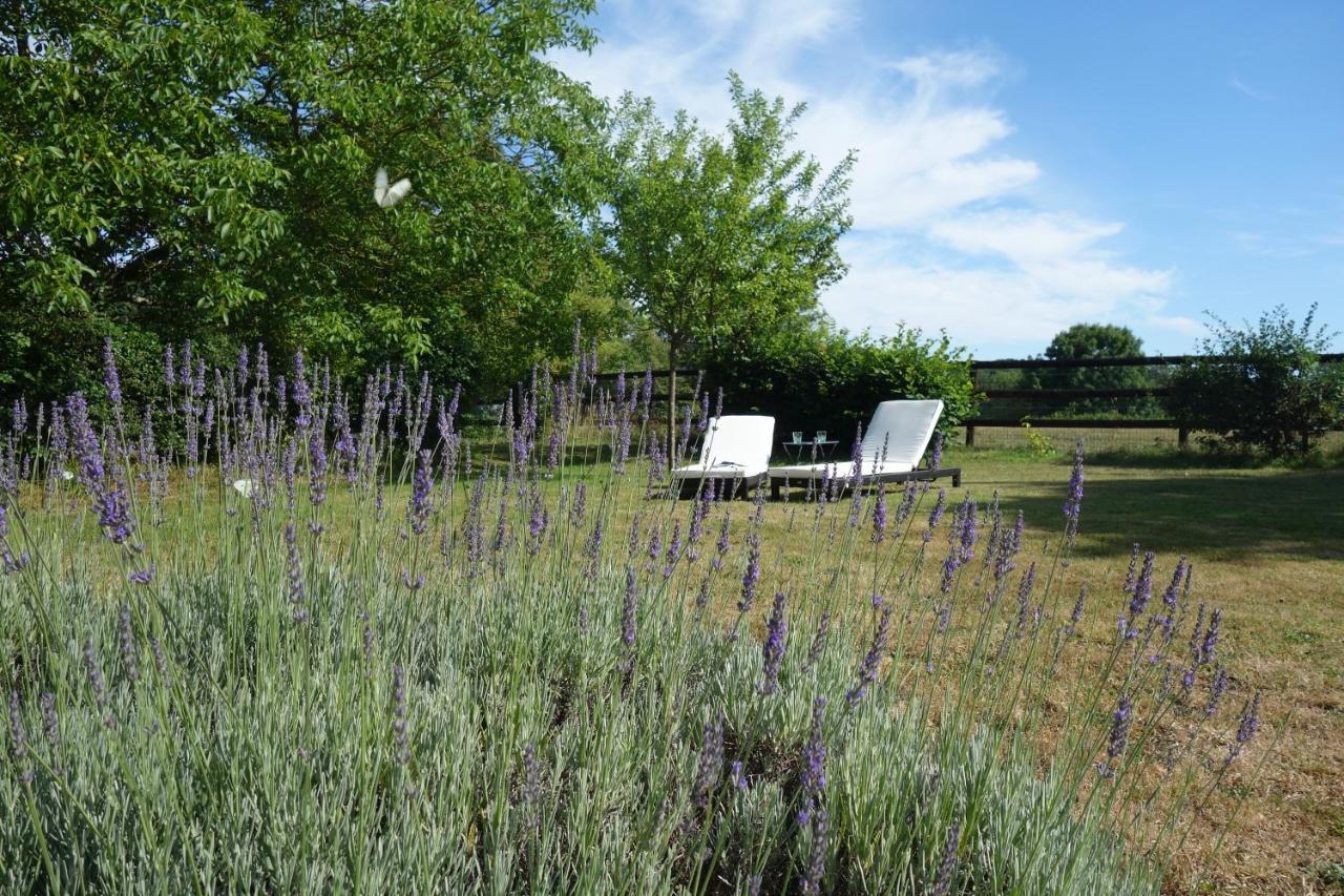 La Fresnaie-Fayel Le Cottage Du Coudray, Gite Avec Chalet Sauna מראה חיצוני תמונה